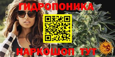 синтетический гашиш Новодвинск