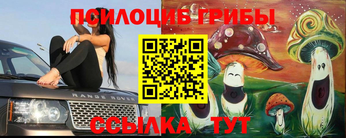 Псилоцибиновые грибы прущие грибы  Вход с VPN  Галлюциногенные грибы мухоморы  Учалы 